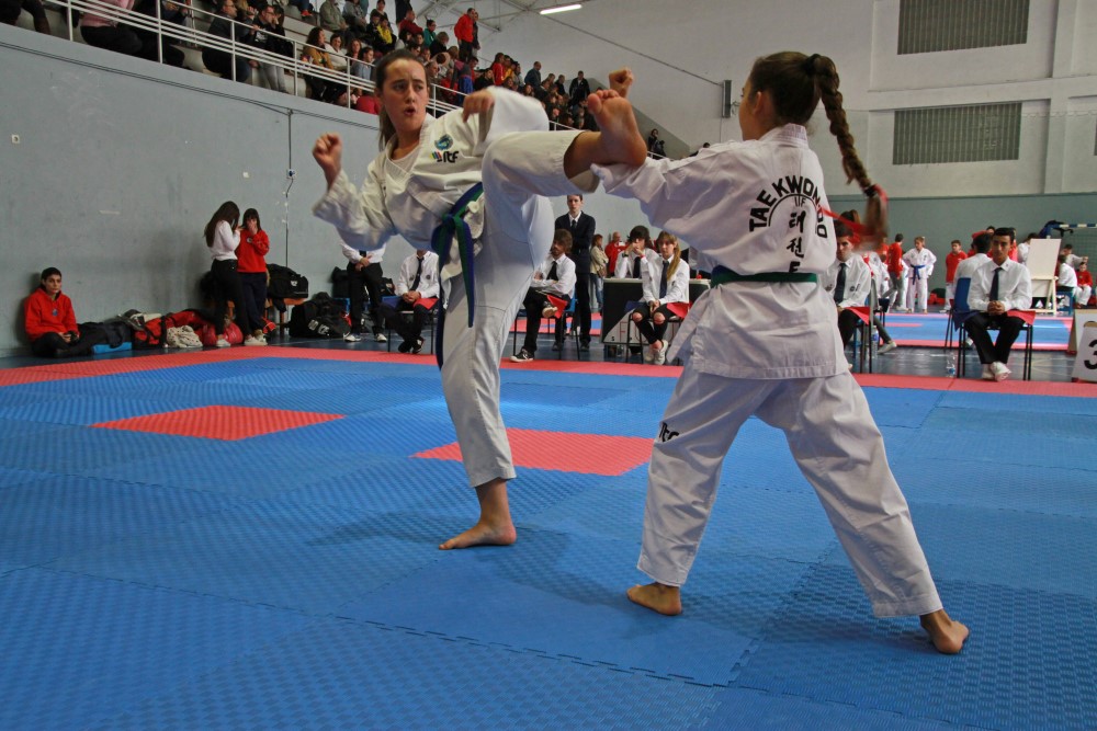 III Copa Seúl (88).jpg